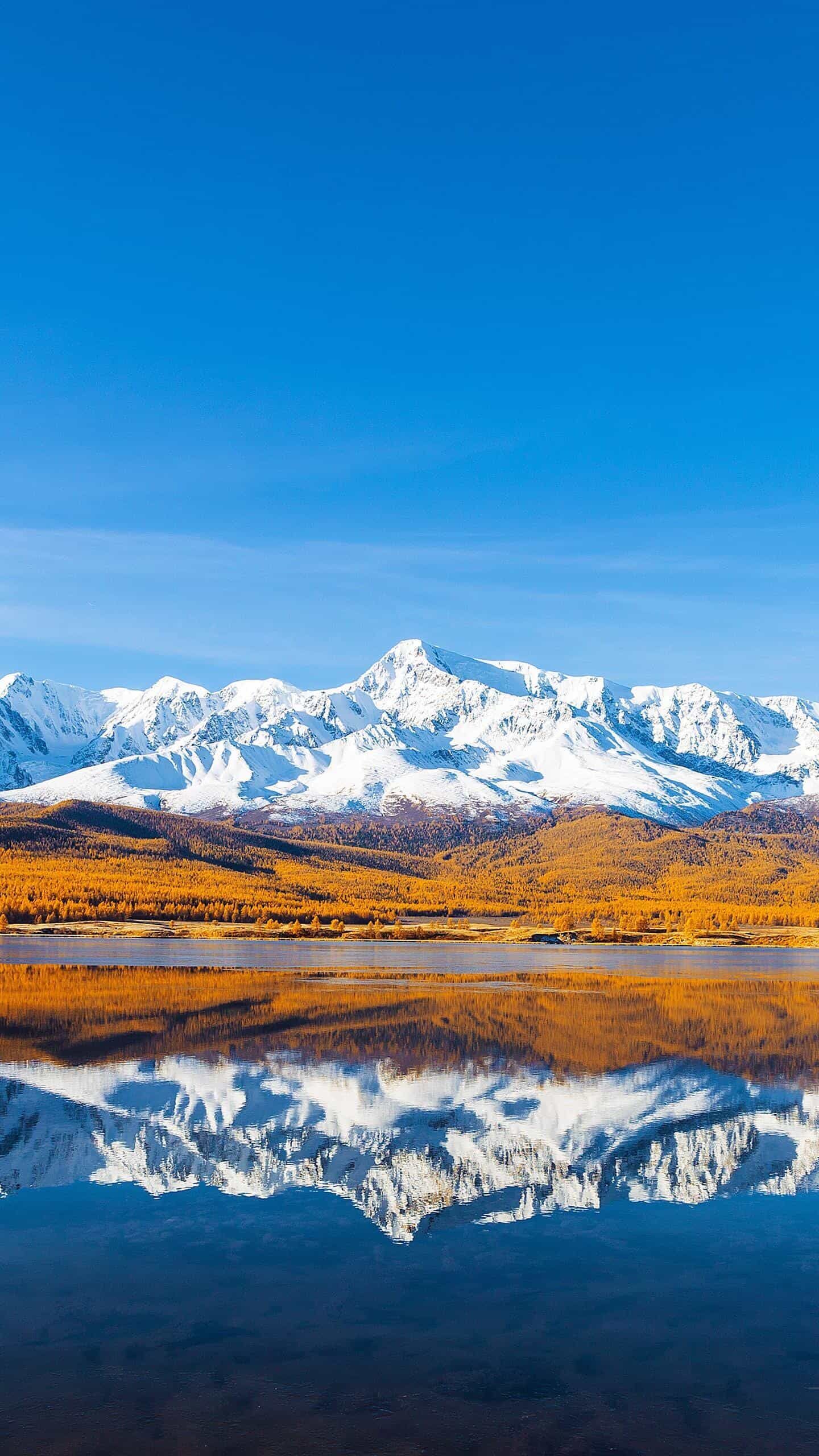 《服务器租赁:零成本启动,让业务跑在“云端高速”》